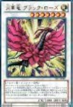 Amazon.co.jp: 遊戯王カード 月華竜 ブラック・ローズ ウルトラレア