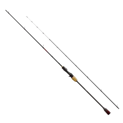 炎月 タイラバロッド」の人気商品一覧 | 安い商品を通販サイトから探す