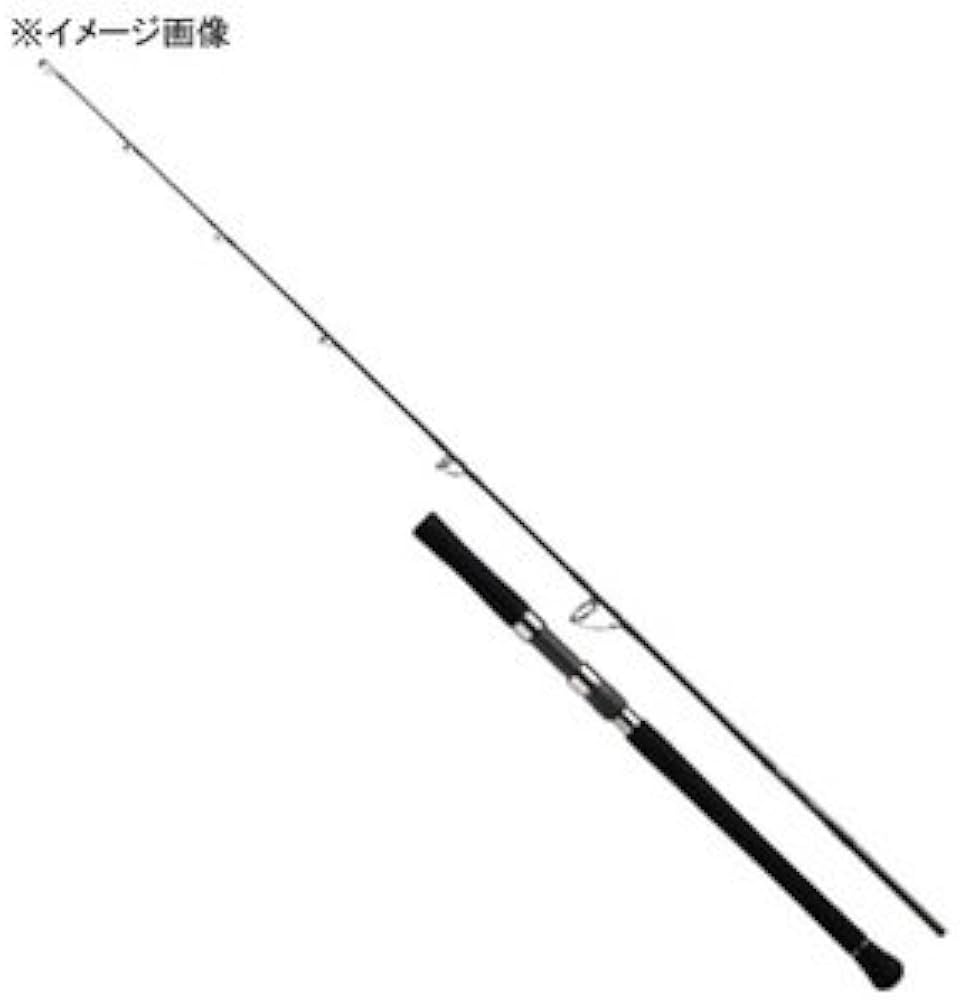 Amazon | ダイワ(DAIWA) ジギングロッド ヴァデル 61MLS 釣り竿