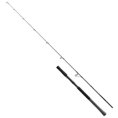 シマノ ソルティーアドバンス JIGGING S60-3 (ロッド・釣竿) 価格比較