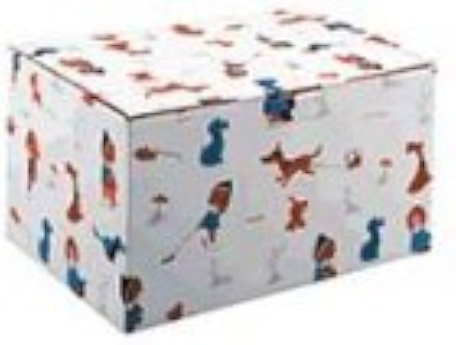 Amazon.co.jp: ミトン なかよしBOX [DVD] : ロマン・カチャーノフ: DVD