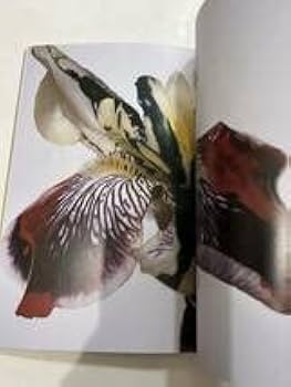 Amazon.co.jp: 荒木経惟 熊本ララバイ 熊本市現代美術館 写真集 図録