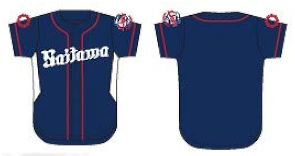 Amazon | 埼玉西武ライオンズ ビジターユニフォーム Saitama