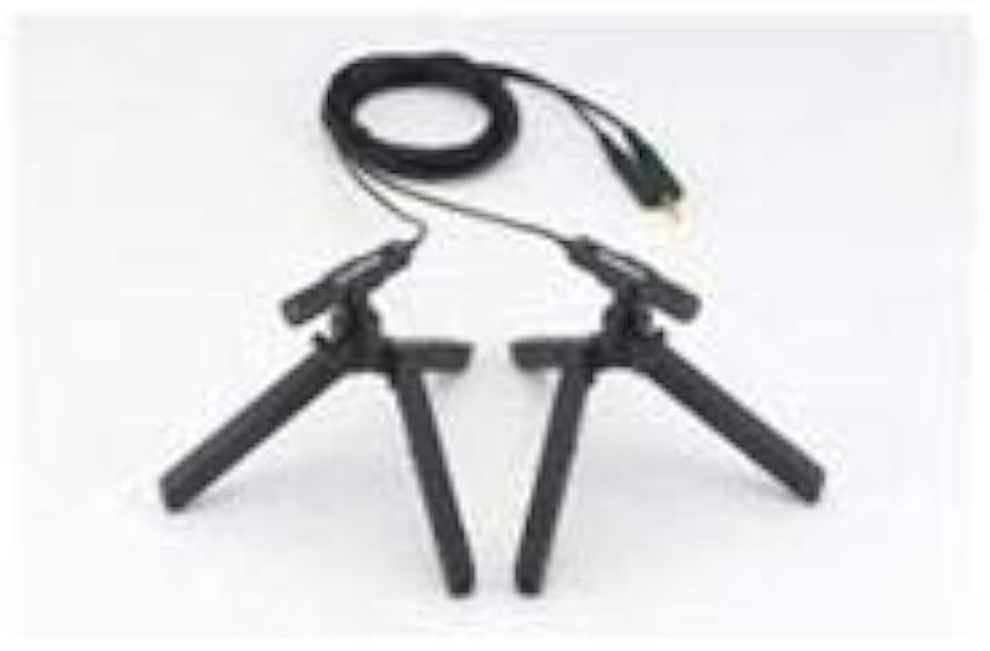 Amazon.co.jp: OLYMPUS 2チャンネルマイクロホン ME30W ME30W : 楽器