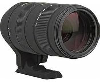 Amazon.co.jp: SIGMA 望遠ズームレンズ APO 120-400mm F4.5-5.6 DG OS