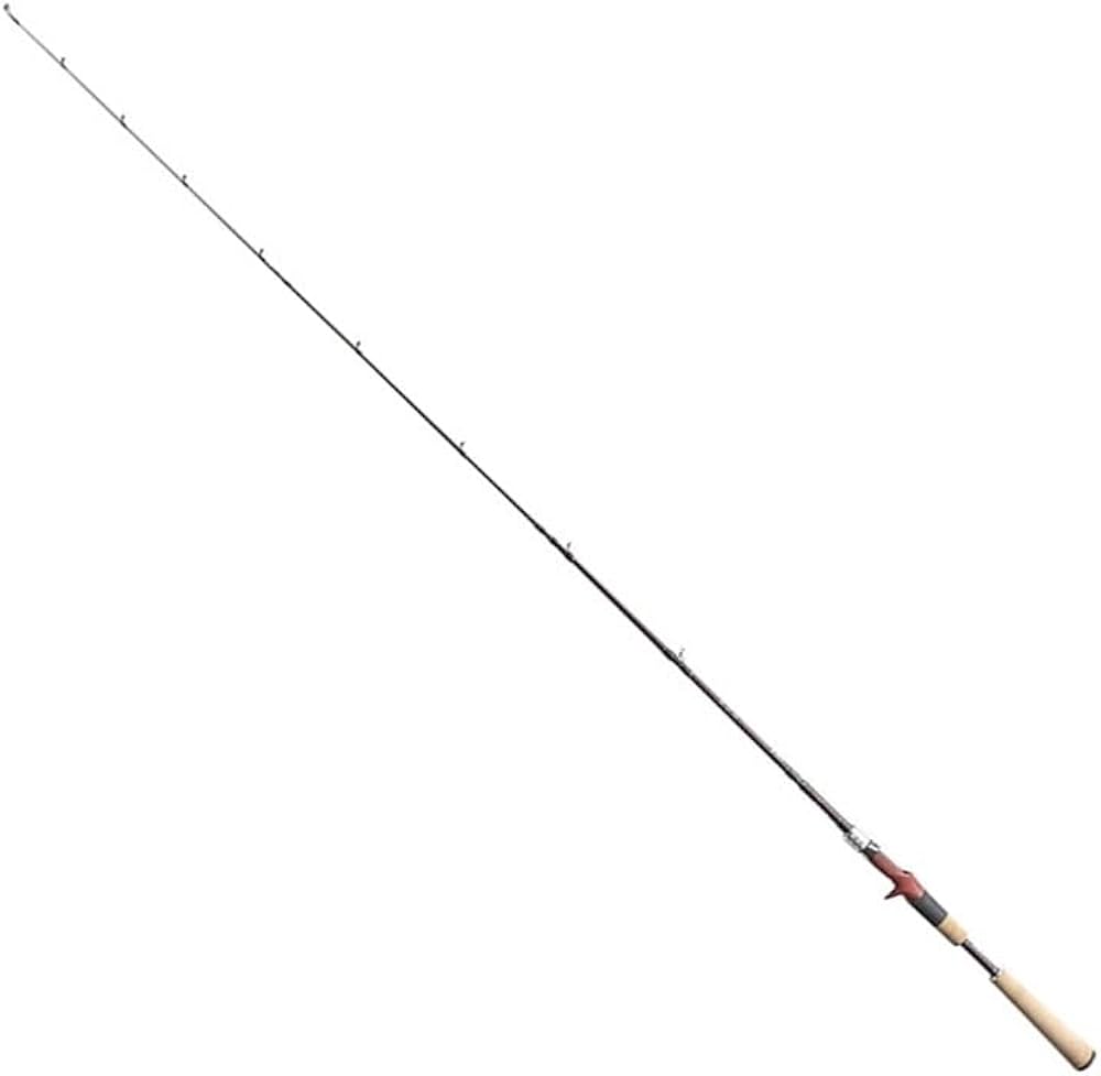 Amazon | フィッシュマン BC4 5.10L ブリストコンパクト | FISHMAN