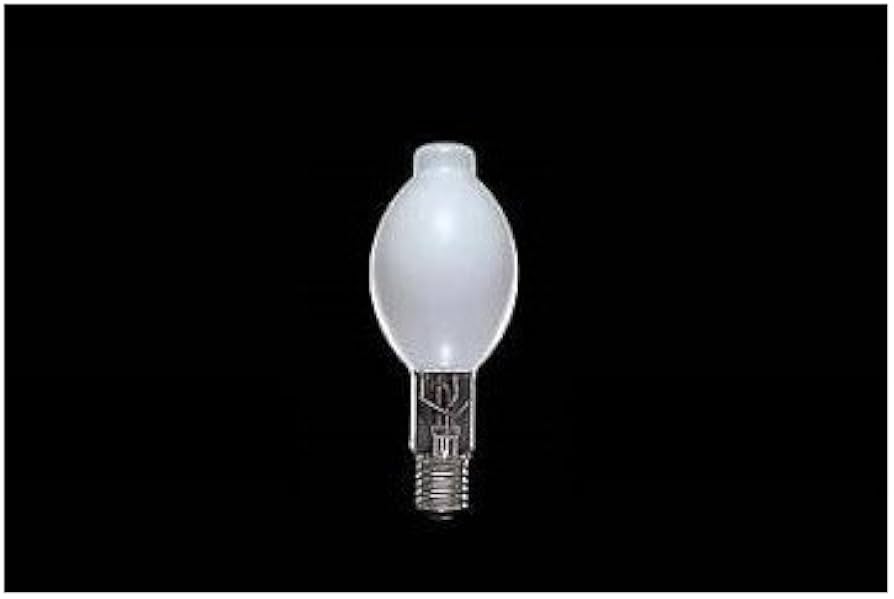 Amazon | 東芝 蛍光水銀ランプ 寒冷地形 400W E39口金 HF400XC | 東芝