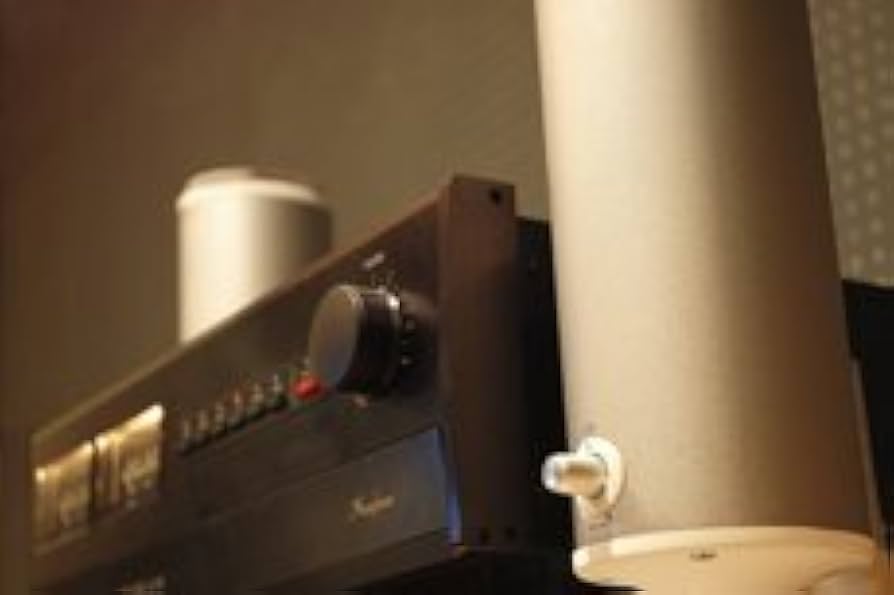 Amazon.co.jp: BauXar ボザール Jupity301 ジュピティ301 アンプ内蔵