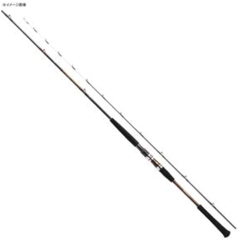 Amazon | ダイワ(DAIWA) 船竿 A-ブリッツ ネライ・E MH-210・E 釣り竿