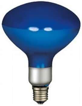 21kFpl-YZDL._AC_UF350,