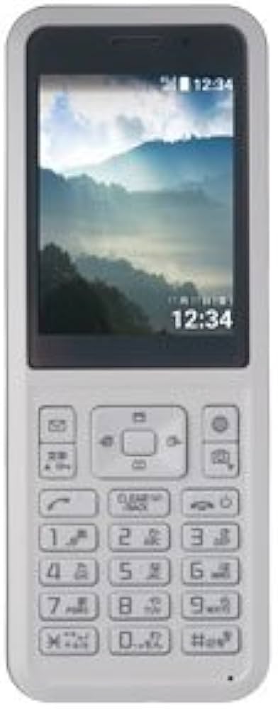 Amazon | SEIKO 【SIMロック解除済】SoftBank Simply 602SI ホワイト