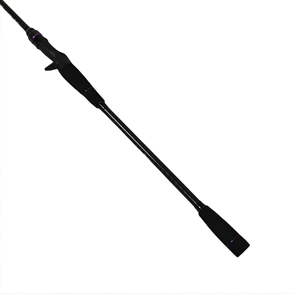 Amazon | SOLFIESTA(ソルフェスタ) タチウオテンヤロッド 龍撃太刀魚