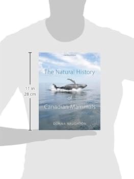 3162YG2+x8L._AC_UF350,