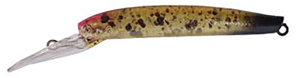 Amazon | ディスプラウト(Daysprout) イーグルプレーヤー 50 スリムGJ