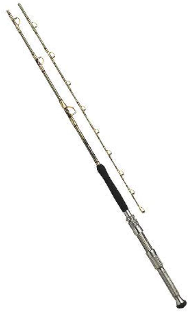 Amazon | ダイワ(DAIWA) 船竿 マッドバイパー 深海 HH-200 釣り竿