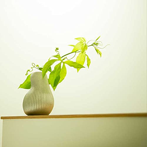 Amazon.co.jp: 能作 フラワーベース - suzu - ようなし 〔錫100