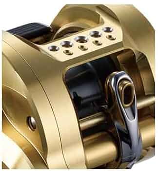 3113AWsi9FL._AC_UF350,