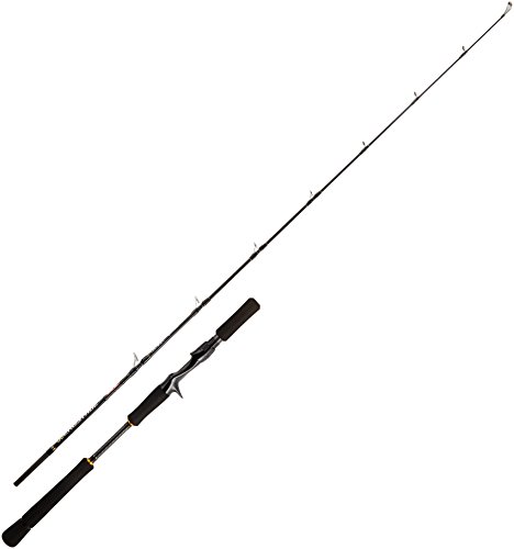 ダイワ「ブラストBJ TW」！Tウィング搭載モデルでジギングの釣果が