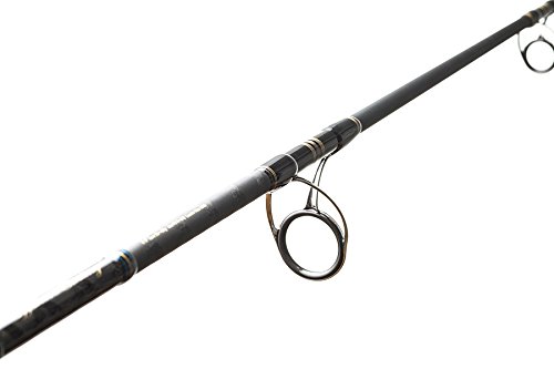 Amazon | AbuGarcia (アブガルシア) オーシャンフィールド オフショア