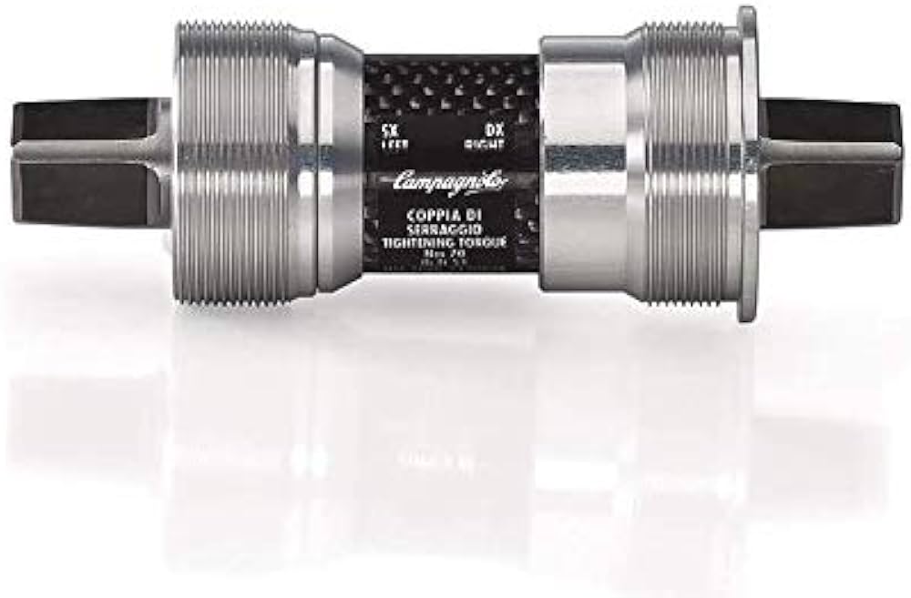 Amazon.co.jp: Campagnolo(カンパニョーロ) レコード ピスト用