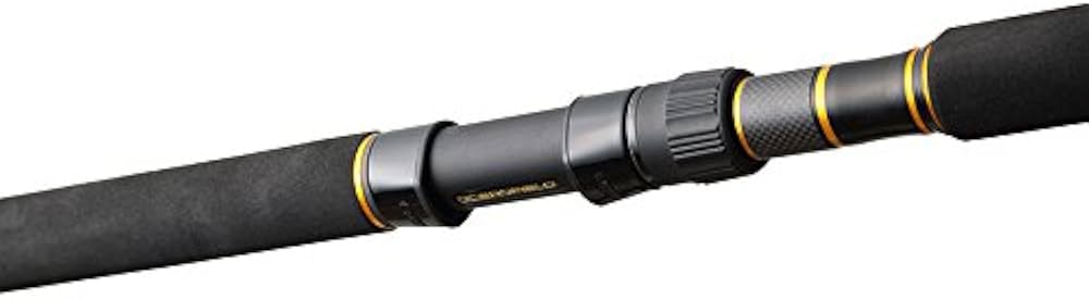 Amazon | AbuGarcia (アブガルシア) オーシャンフィールド オフショア