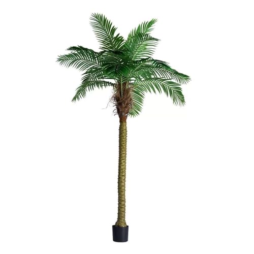 ヤシ の木」の人気商品一覧 | 安い商品を通販サイトから探す - 価格.com