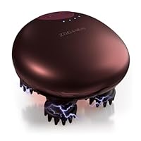 Amazon | 【限定色 3/30終了】ZOGANKIN(ゾーガンキン) スカルプ