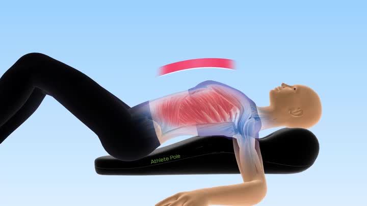 Amazon | MTG 美姿勢ストレッチ Style Athlete Pole(スタイル