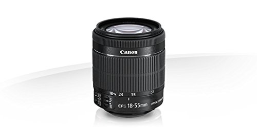 Amazon.co.jp: Canon 標準ズームレンズ EF-S18-55mm F3.5-5.6 IS STM