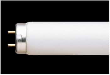 31xrXE6kMJL._AC_UF350,