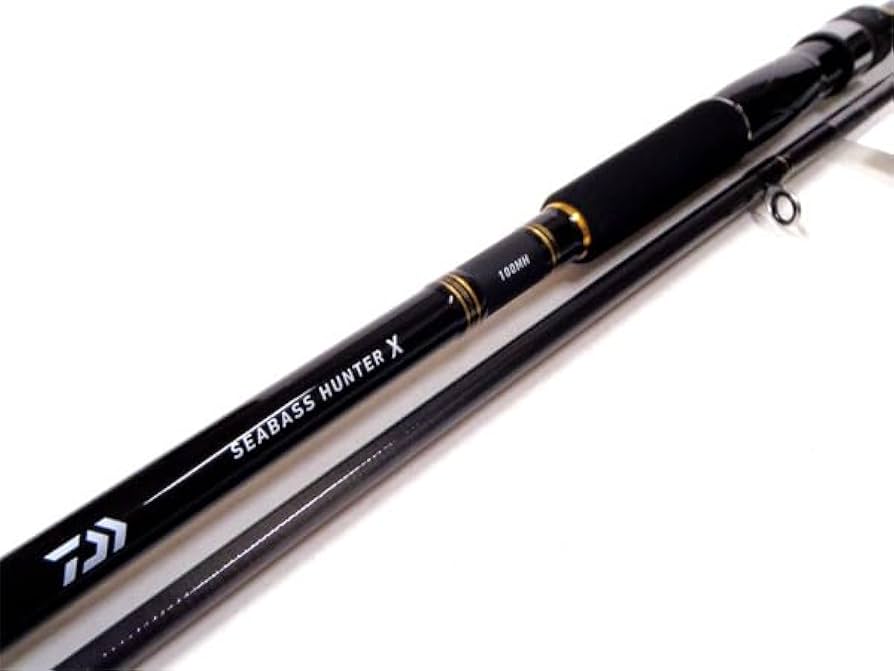 Amazon.co.jp: DAIWA SEABASS HUNTER X シーバスハンターX 100MH R
