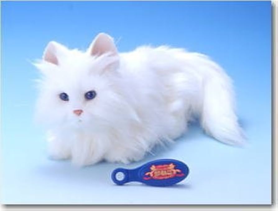 Amazon.co.jp: 夢ねこ(ホワイト) : おもちゃ