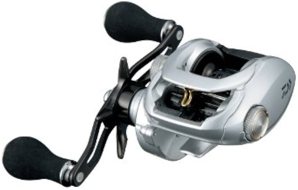 Amazon | ダイワ(Daiwa) 両軸リール 14 スパルタン TW 150H | ダイワ