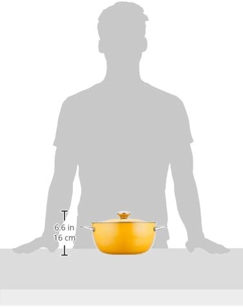 Amazon.co.jp: マイヤー(Meyer) 両手鍋 24cm アルミニウム合金 IH対応