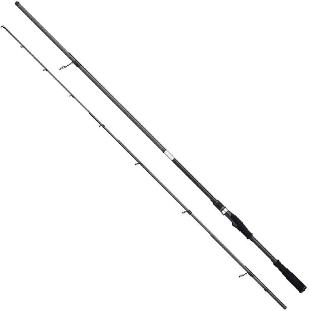 Amazon | アピア ロックフィッシュロッド グランデージブルート