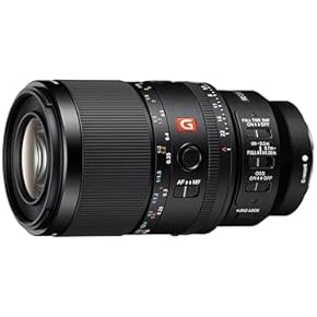 Amazon.co.jp: 一眼レフカメラレンズ - カメラ用交換レンズ: 家電＆カメラ