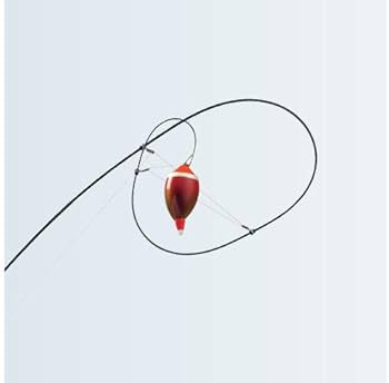 Amazon | シマノ(SHIMANO) 磯竿 20 アドバンス イソ 1号 530 黒鯛