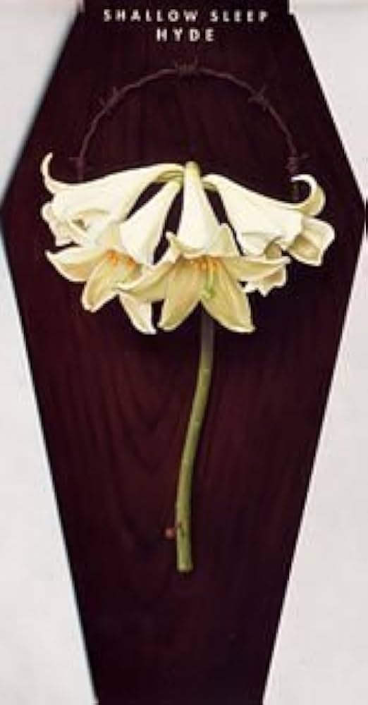 Amazon.co.jp: SHALLOW SLEEP: ミュージック