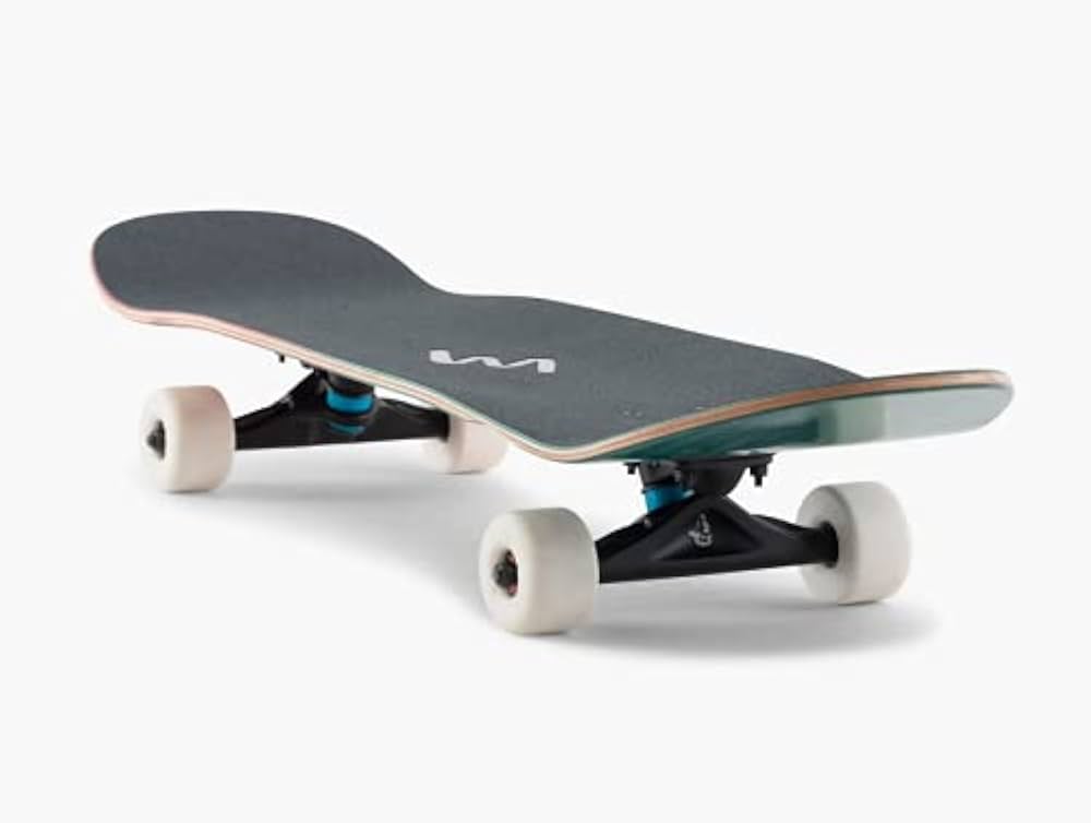 Amazon.com : Universo Brands, Landyachtz - ATV Perfecto Raccoon