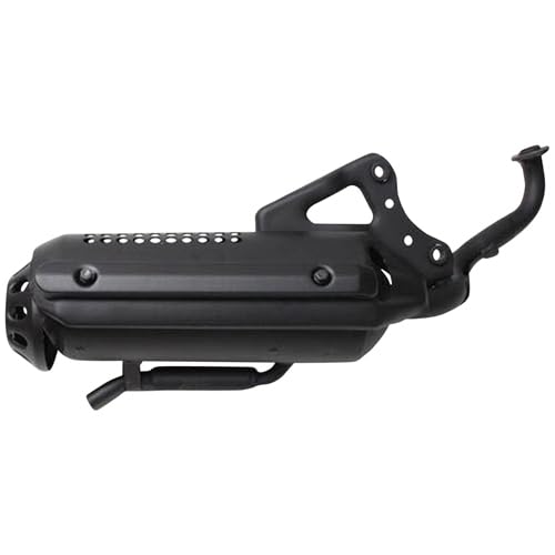 Amazon | EnergyPrice(エナジープライス) マフラー ライブディオZX SR