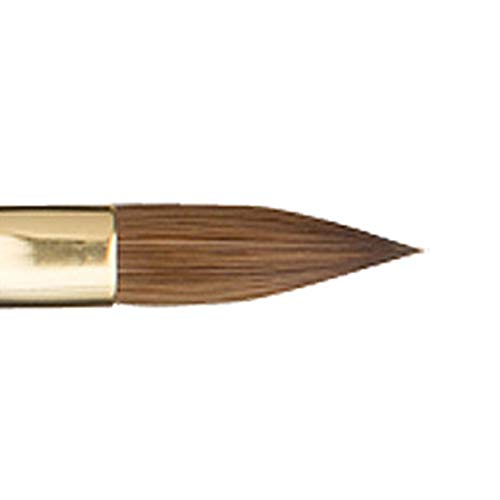 Amazon | More Couture ターコイヅム プレミアム フレンチブラシ