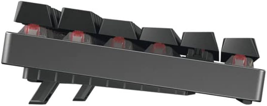 Amazon.com: Cherry MX 8.2 TKL Wireless Gaming Keyboard. Compact