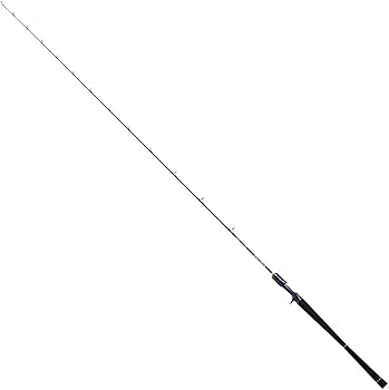 Amazon | ダイワ(DAIWA) ライトジギングロッド ソルティガ(SALTIGA) LJ