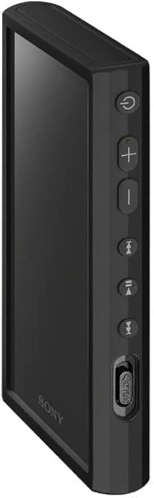 Amazon | ソニー(SONY) ウォークマン純正アクセサリー NW-A300シリーズ