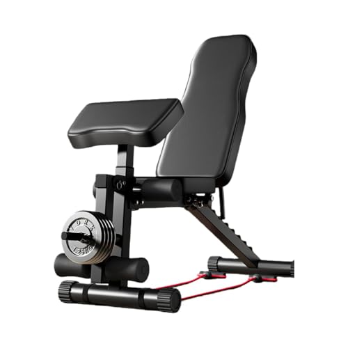 トレーニング ベンチ 背筋」の人気商品一覧 | 安い商品を通販サイト