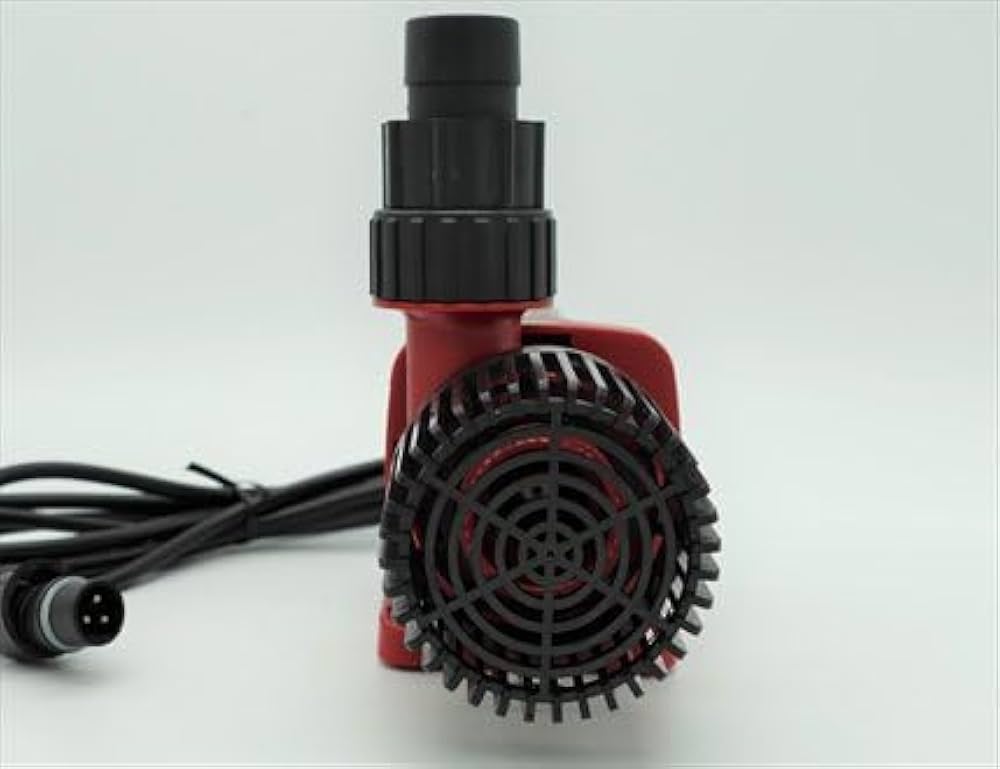 31Z4SPcWkbL._AC_UF1000,