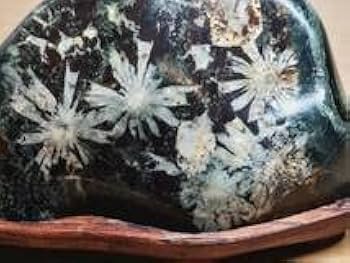 Amazon.co.jp: 白菊562g 菊花石 菊紋石 小菊石 花紋石 原石 鑑賞石