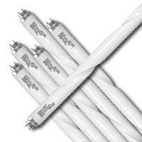 Amazon | Vita Lite-バイタライト3826EX-LS(旧1308) 40W | Light