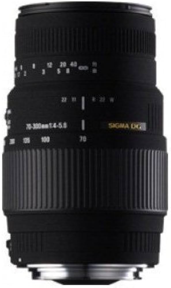 Amazon.com : SIGMA 70-300 mm F4.0-5.6 DG MACRO for Canon : Electronics