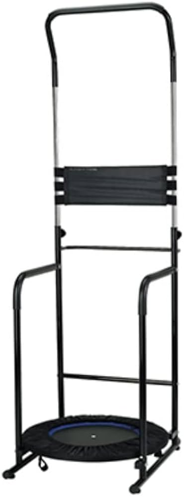 Amazon | アルインコ(ALINCO) ぶら下がり健康器 懸垂マシン バランス